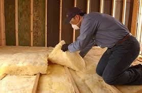 Best Insulation Air Sealing  in Davis Junction, IL