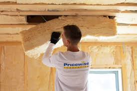 Best Fireproof Insulation  in Davis Junction, IL