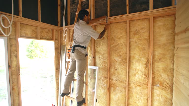 Best Basement Insulation  in Davis Junction, IL